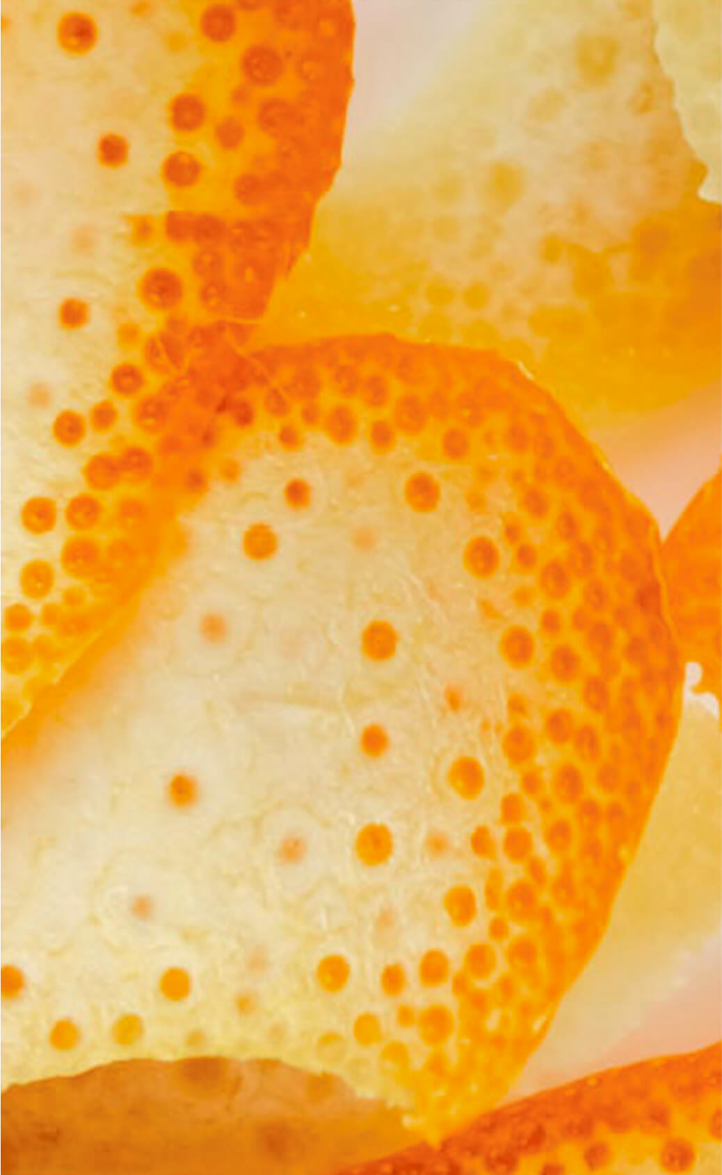 Fresca agrumata